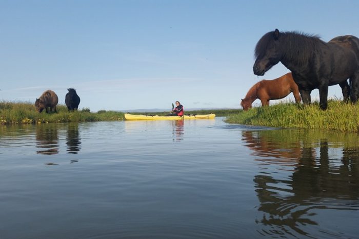 Trip To Eyrarbakki