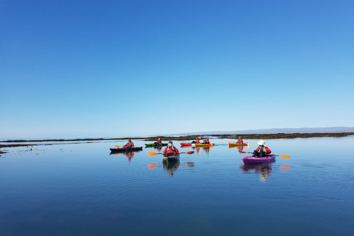 Adventure kayaking