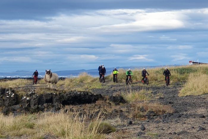 THE GOLDEN LAVA BEACH FATBIKE TOUR